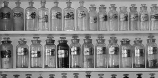 Robert Bruce Claims Crown of Scotland